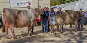 Miss Genetik BS und OB